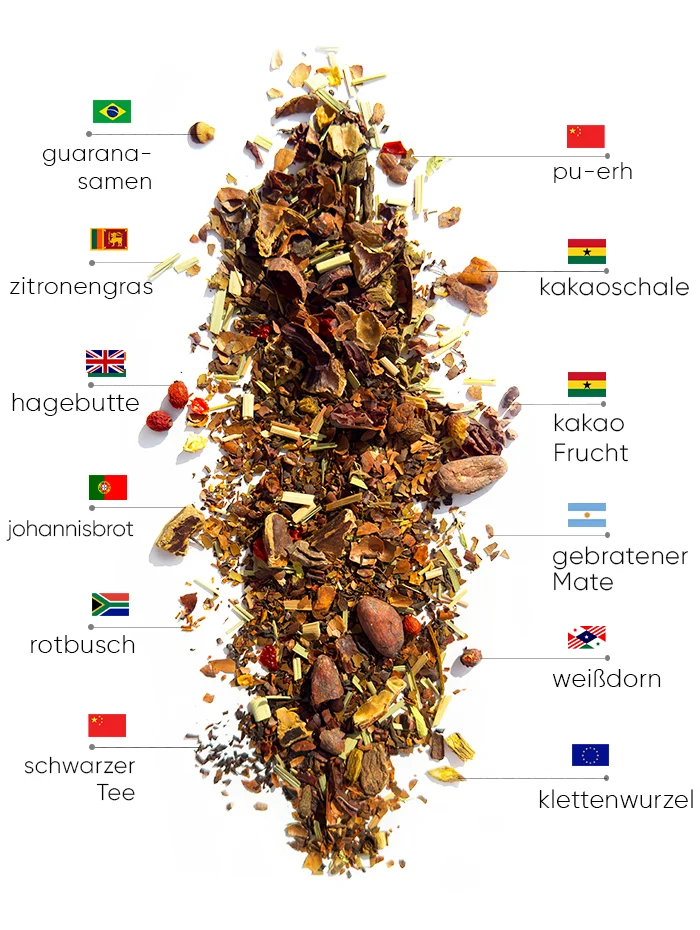 Cocoa Detox Tee | WOW Tea Österreich 🇦🇹 Cocoa Detox Tee | WOWTEA WEB PP Detox Cocoa Tea Ingredients DE