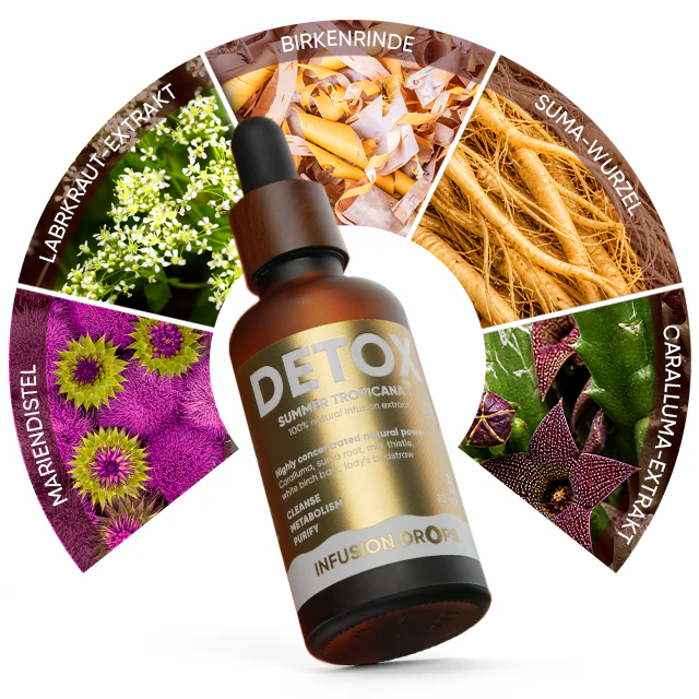 Tropicana Detox Infusiоn Drops | WOWTEA DETOX TROPICANA Infusion Drops Ingredients DE