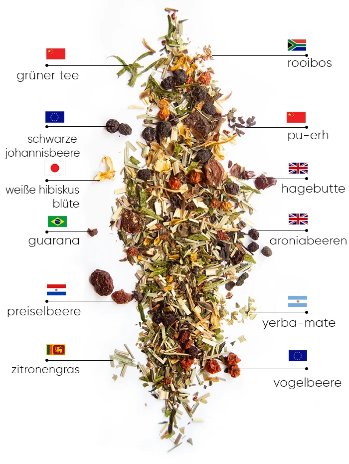 Berry Detox Tee | WOWTEA WEB Berry Detox PP ingredients DE