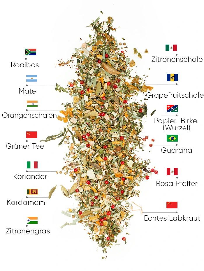 Summer Tropicana Detox Tee | WOWTEA WEB PP Summer Edition Detox Ingredients DE