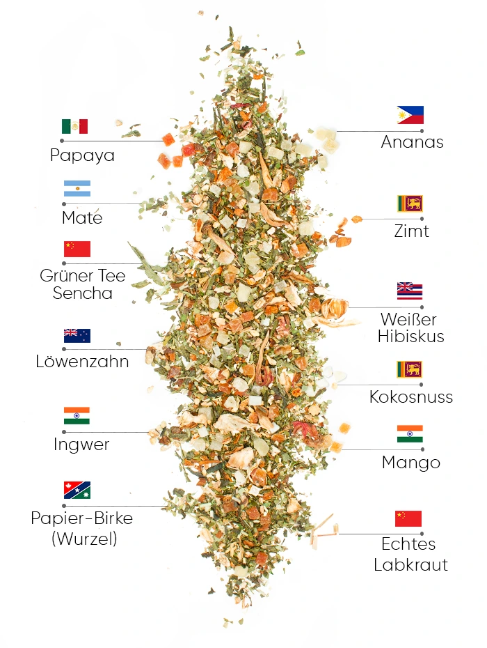 Summer Tropicana Slimfit Tee | WOWTEA WEB PP Summer Edition Slimfti Ingredients DE