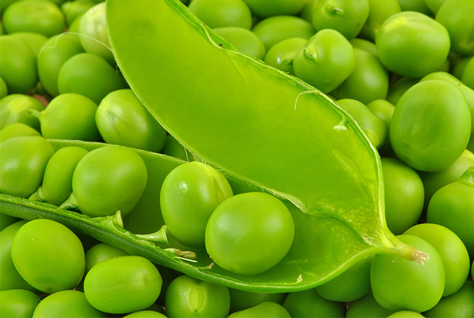 Detox Thee | WOW TEA Belgium 🇧🇪 Pisum-Sativum