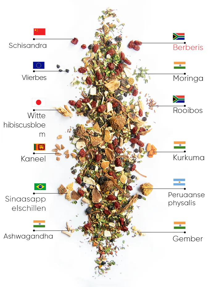 Berry Wellness Thee | wow tea berry wellness ingredients D NL