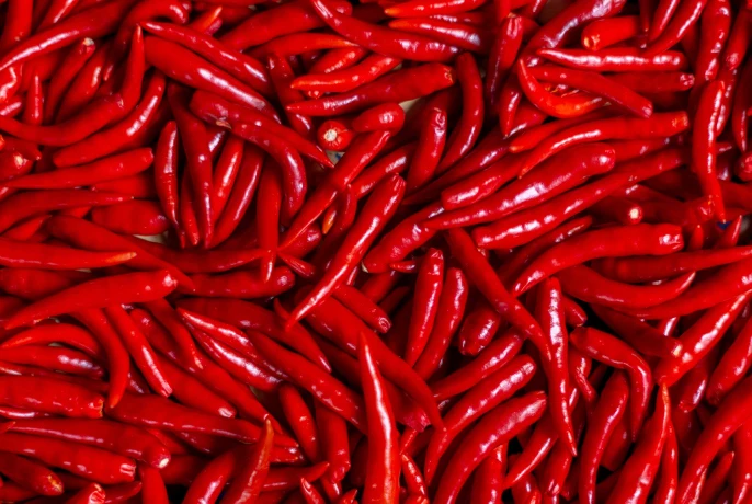 Cocoa Slimfit Infusiоn Drops | WOW TEA Belgium 🇧🇪 wowtea-web-id-cocoa-slimfit-ingredietns-banner-D-24.webp