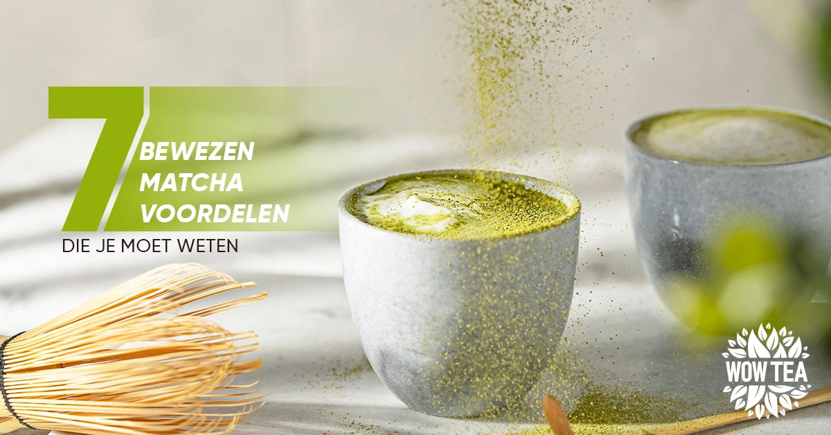 Blog | 7 proven benefits matcha tea blog wowtea 1.webp NL