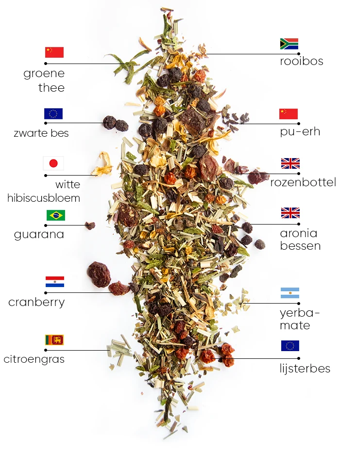 Berry Detox Thee | WOWTEA WEB Berry Detox PP ingredients NL