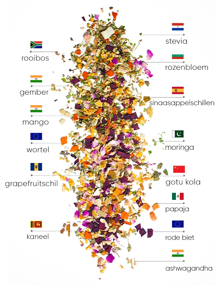 Summer Tropicana Wellness Thee | WOWTEA WEB PP NEW Wellness Summer Tea Ingredients NL