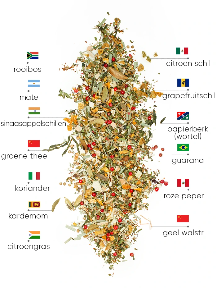 Summer Tropicana Detox Thee | WOWTEA WEB PP Summer Edition Detox Ingredients NL