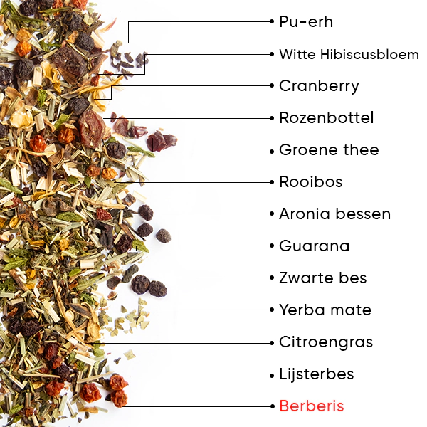 Berry Detox Thee | WOW TEA WEB Berry Detox PP Gallery 04 NL