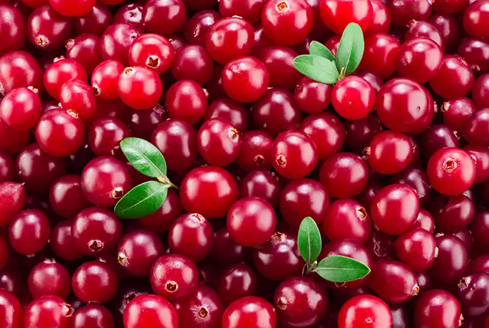 cranberry