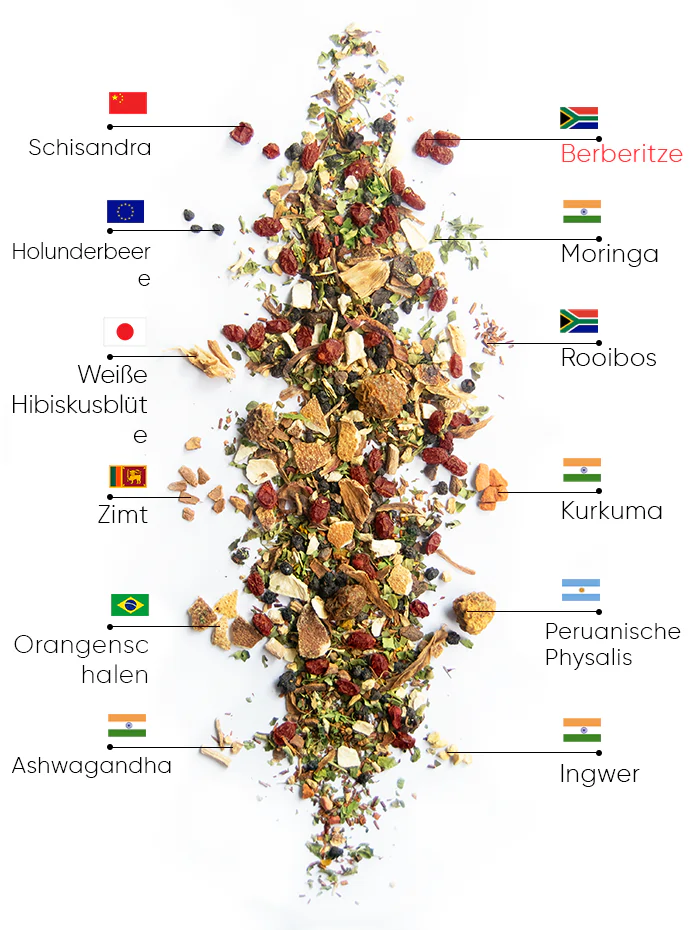 Berry Wellness Tee | wow tea berry wellness ingredients D DE