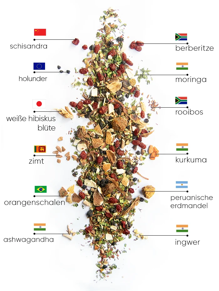 Berry Wellness Tee | WOW Tea Switzerland 🇨🇭 Berry Wellness Tee | WOWTEA WEB Berry Wellness PP ingredients DE