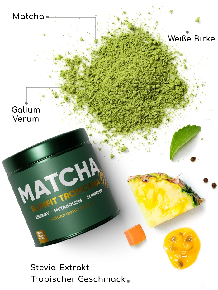 Summer Tropicana Matcha SlimFit Tee | WOW Tea Switzerland 🇨🇭 Summer Tropicana Matcha SlimFit Tee | WOWTEA WEB PP Matcha Slimfit Tropicana ingredients DE