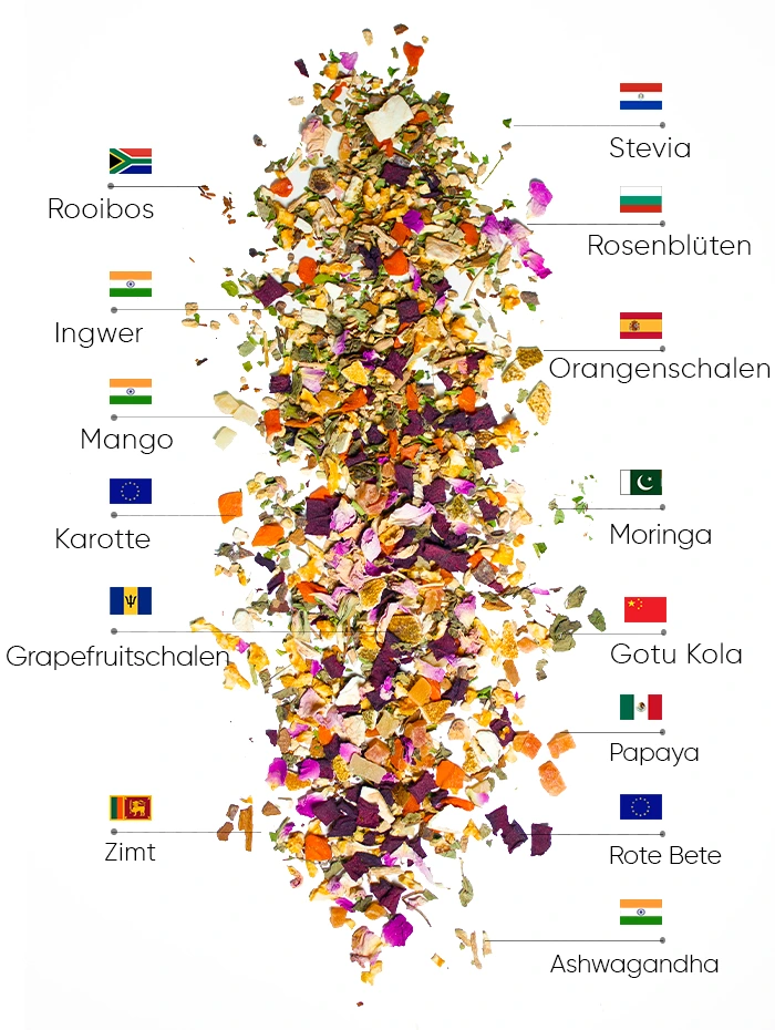 Summer Tropicana Wellness Tee | WOW Tea Switzerland 🇨🇭 Summer Tropicana Wellness Tee | WOWTEA WEB PP NEW Wellness Summer Tea Ingredients DE