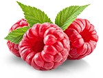 raspberry icon