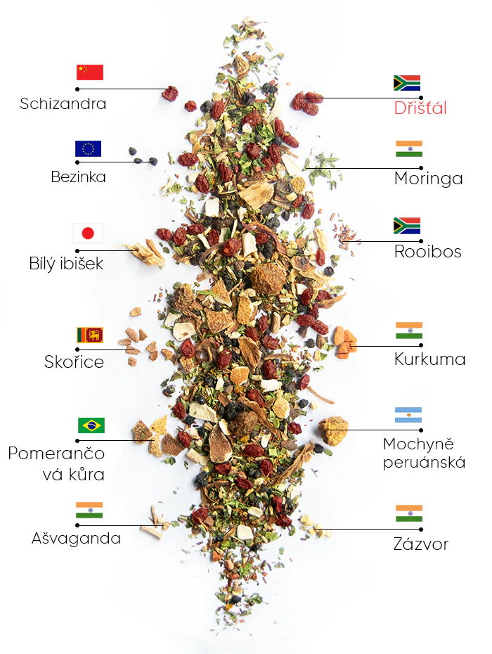 Berry Wellness Čaj | wow tea berry wellness ingredients D CZ