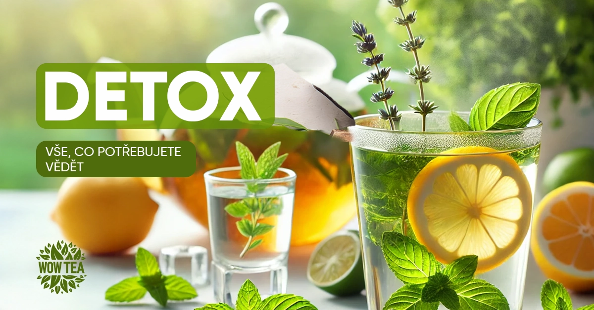 Detox - vše, co potřebujete vědět