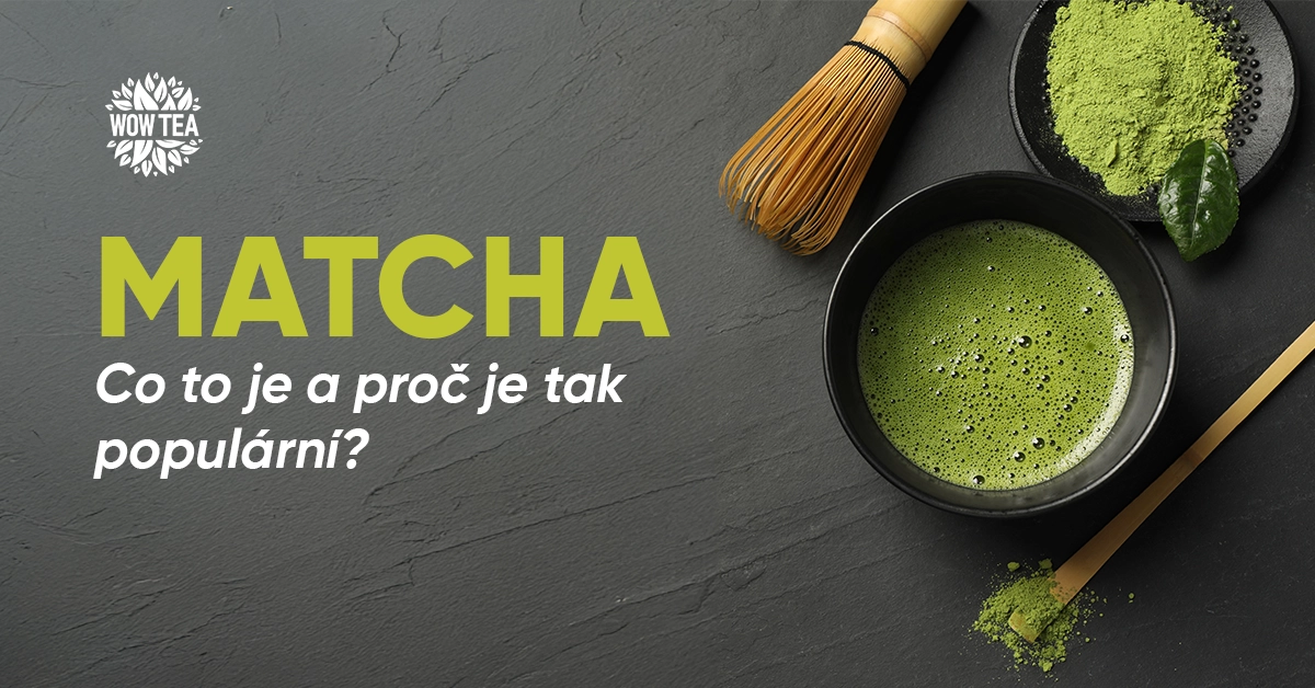 Matcha – co to je a proč je tak populární?