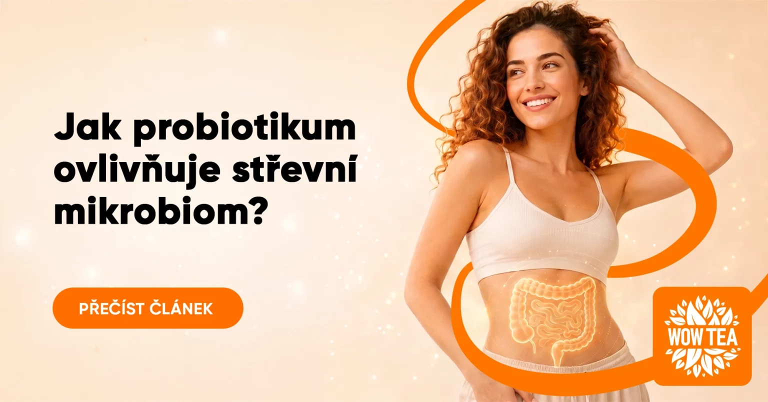 Blog | wowtea blog slimbiotic 1 CZ