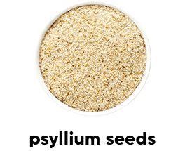 psyllium semínka