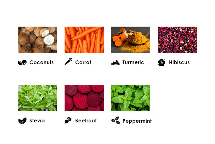 see-all-ingredients-banner-wellness-D (1)