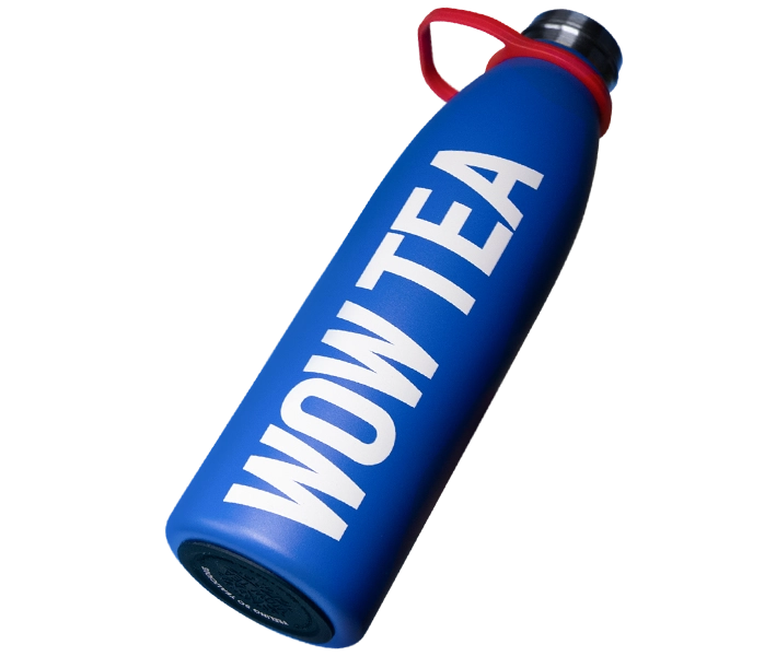 2-Schritt Biofit Berry Programm Plus | blue thermos right
