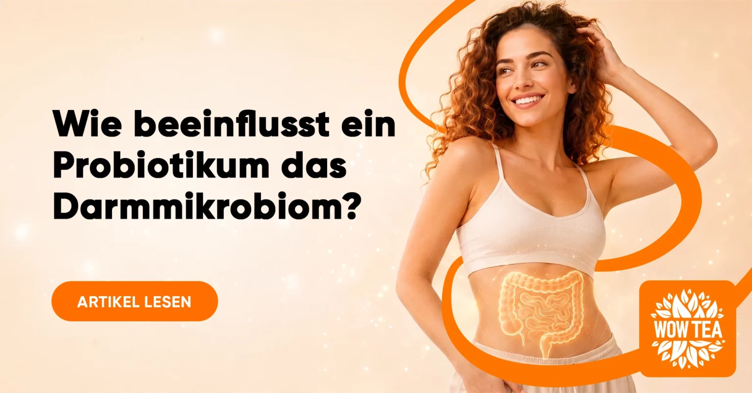 Blog | WOW Tea Deutschland 🇩🇪 Blog | wowtea blog slimbiotic 1 DE