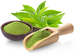 matcha icon