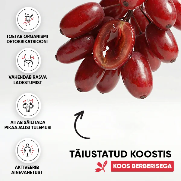 Berry SlimFit Tee | gallery berberis detox slimfit 600x600 EE