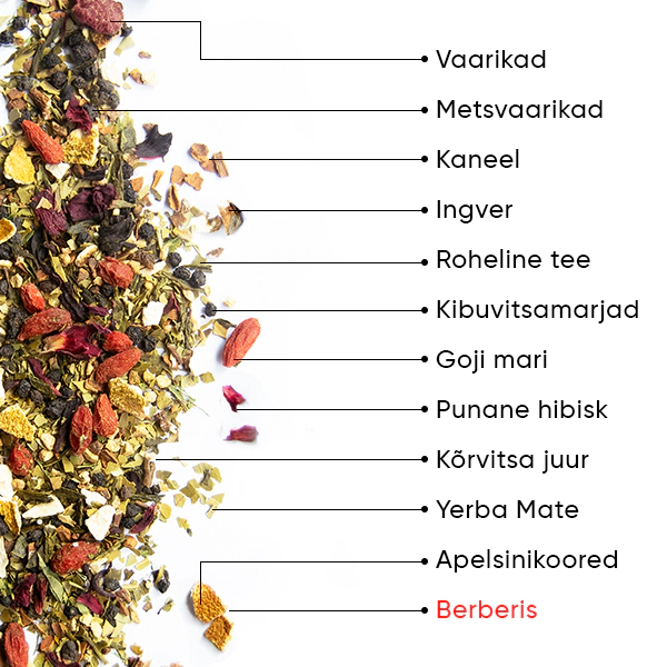 Berry SlimFit Tee | WOW TEA WEB Berry Slimfit PP Gallery 04 EE