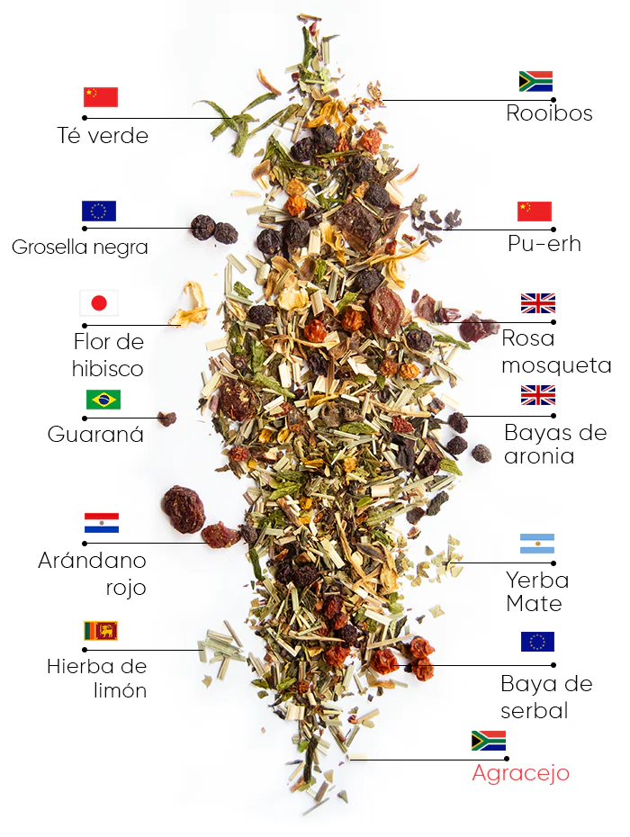 Té Berry Detox | wow tea berry detox ingredients D ES