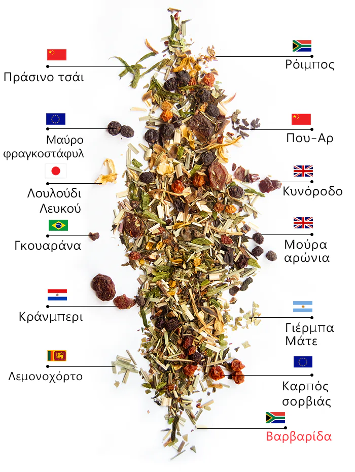 Τσάι Berry Detox | wow tea berry detox ingredients D GR