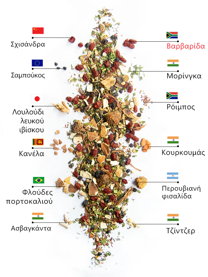 Τσάι Berry Wellness | wow tea berry wellness ingredients D GR