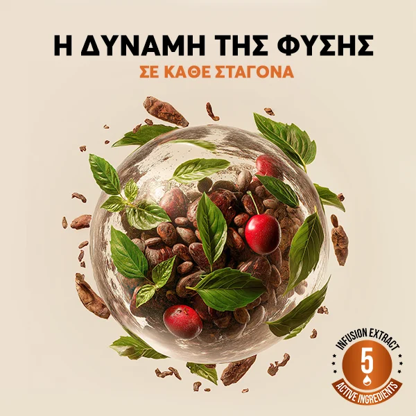 Cocoa Wellness Infusiоn Drops | wowtea web id cocoa wellness banner gallery GR 6