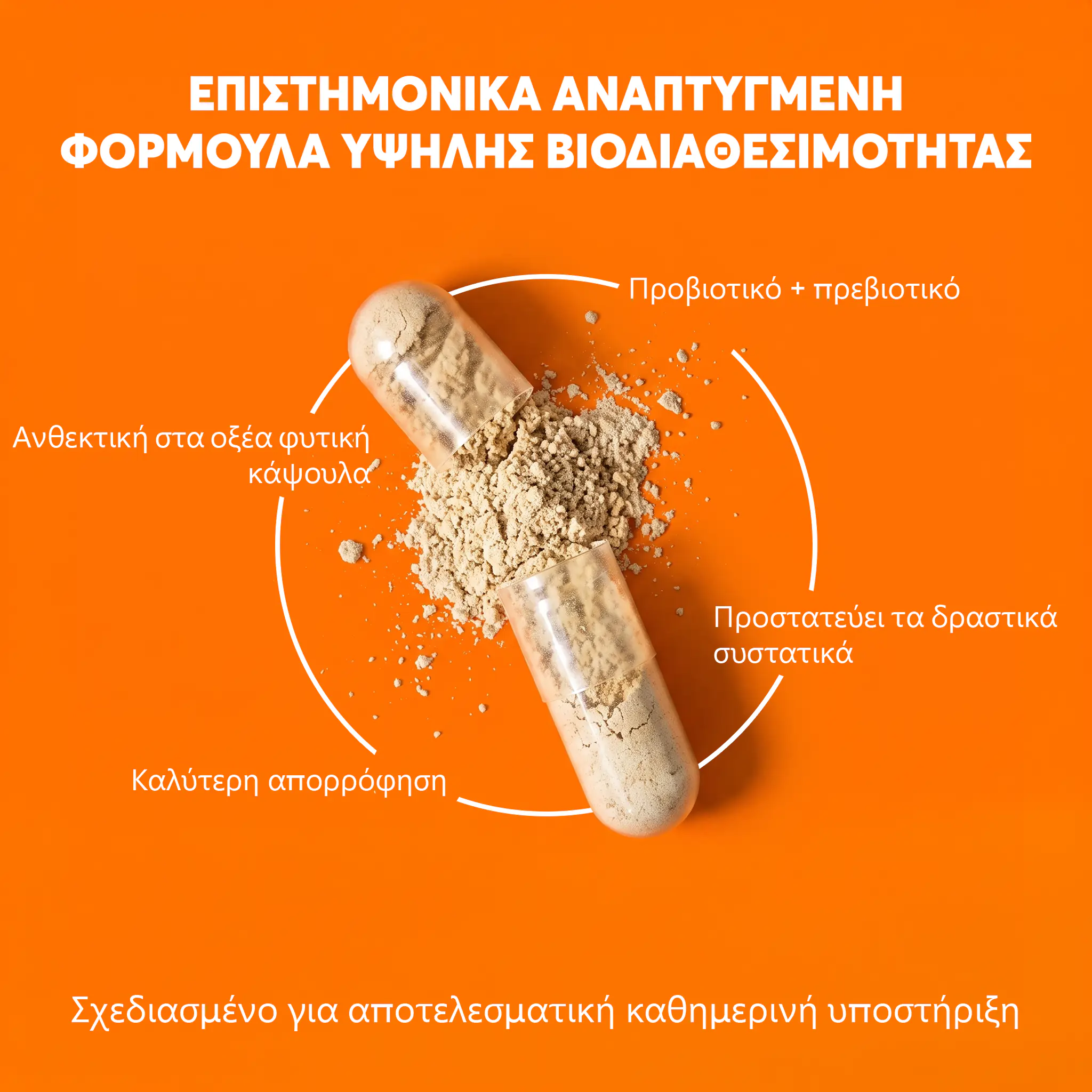 wow-tea-web-slimbiotic-gallery-banner-6-GR Alright Slimbiotic | wow tea web slimbiotic gallery banner 6 GR