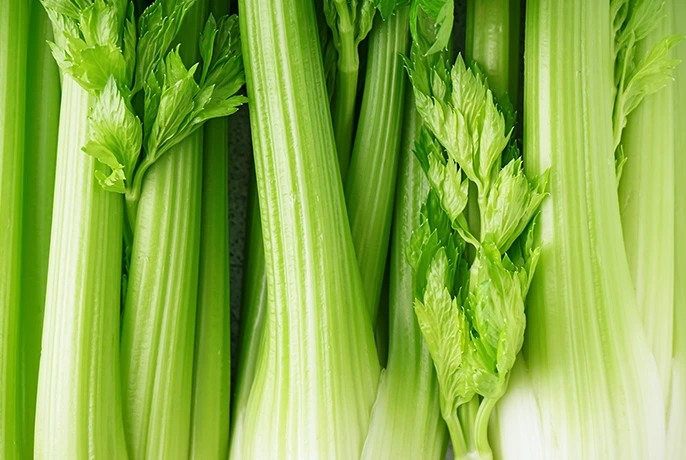 WOWTEA-WEB-PP-Supergreen-Ingredients-Images-Celery-1.webp