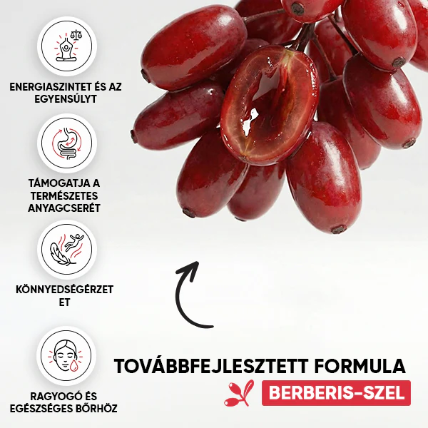 Berry Wellness Tea | gallery berberis wellness 600x600 HU