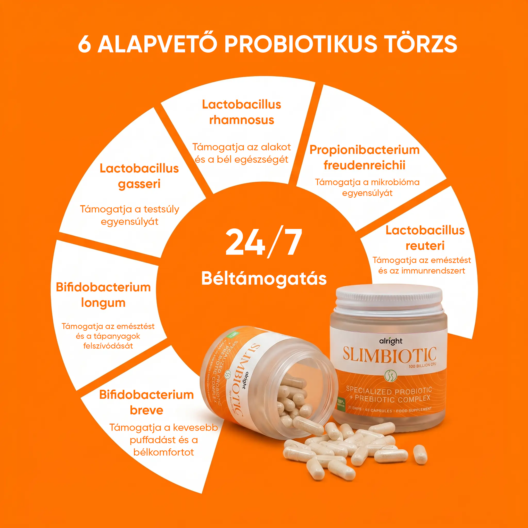 wow-tea-web-slimbiotic-gallery-banner-4-HU Alright Slimbiotic | wow tea web slimbiotic gallery banner 4 HU
