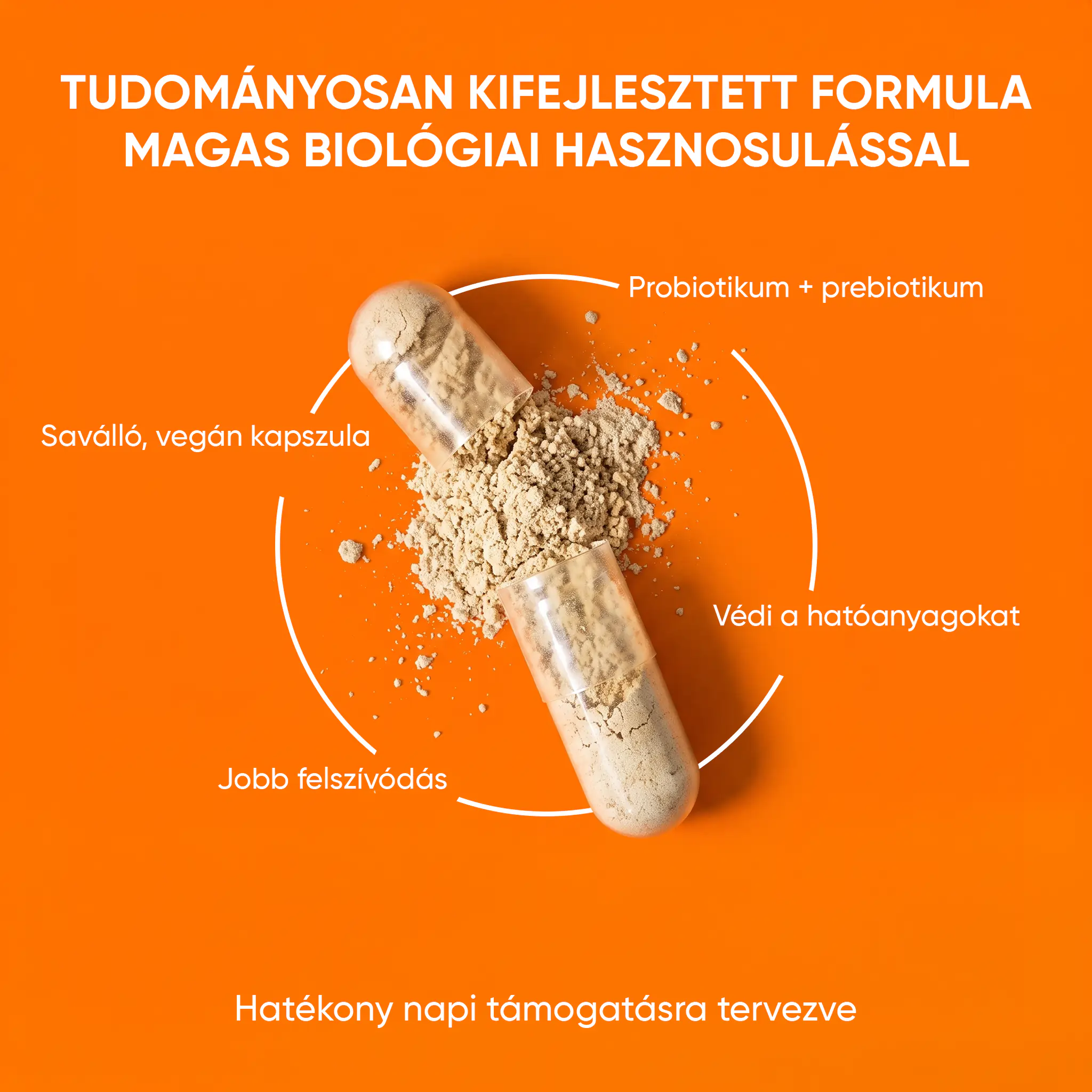 wow-tea-web-slimbiotic-gallery-banner-6-HU Alright Slimbiotic | wow tea web slimbiotic gallery banner 6 HU