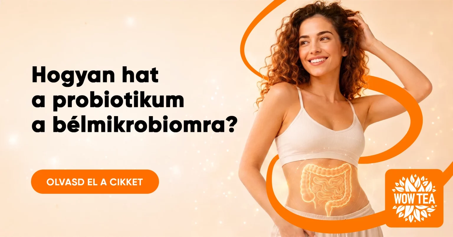 Blog | wowtea blog slimbiotic 1 HU