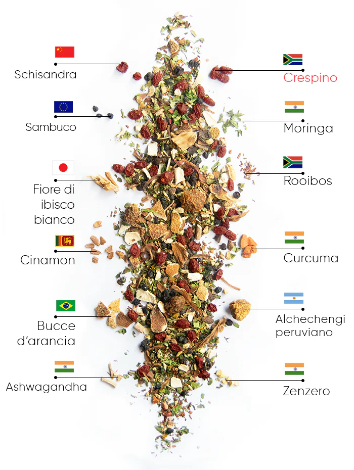 Berry Wellness Tè | wow tea berry wellness ingredients D IT