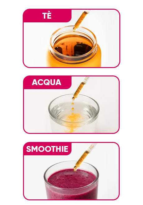 SlimFit Infusiоn Drops | wowtea web infusion drops slimfit classic pp preparation m IT