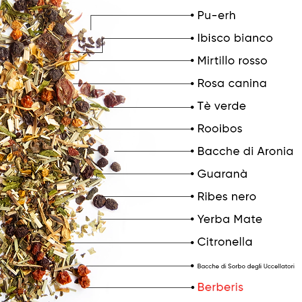 Berry Detox Tè | WOW TEA WEB Berry Detox PP Gallery 04 IT