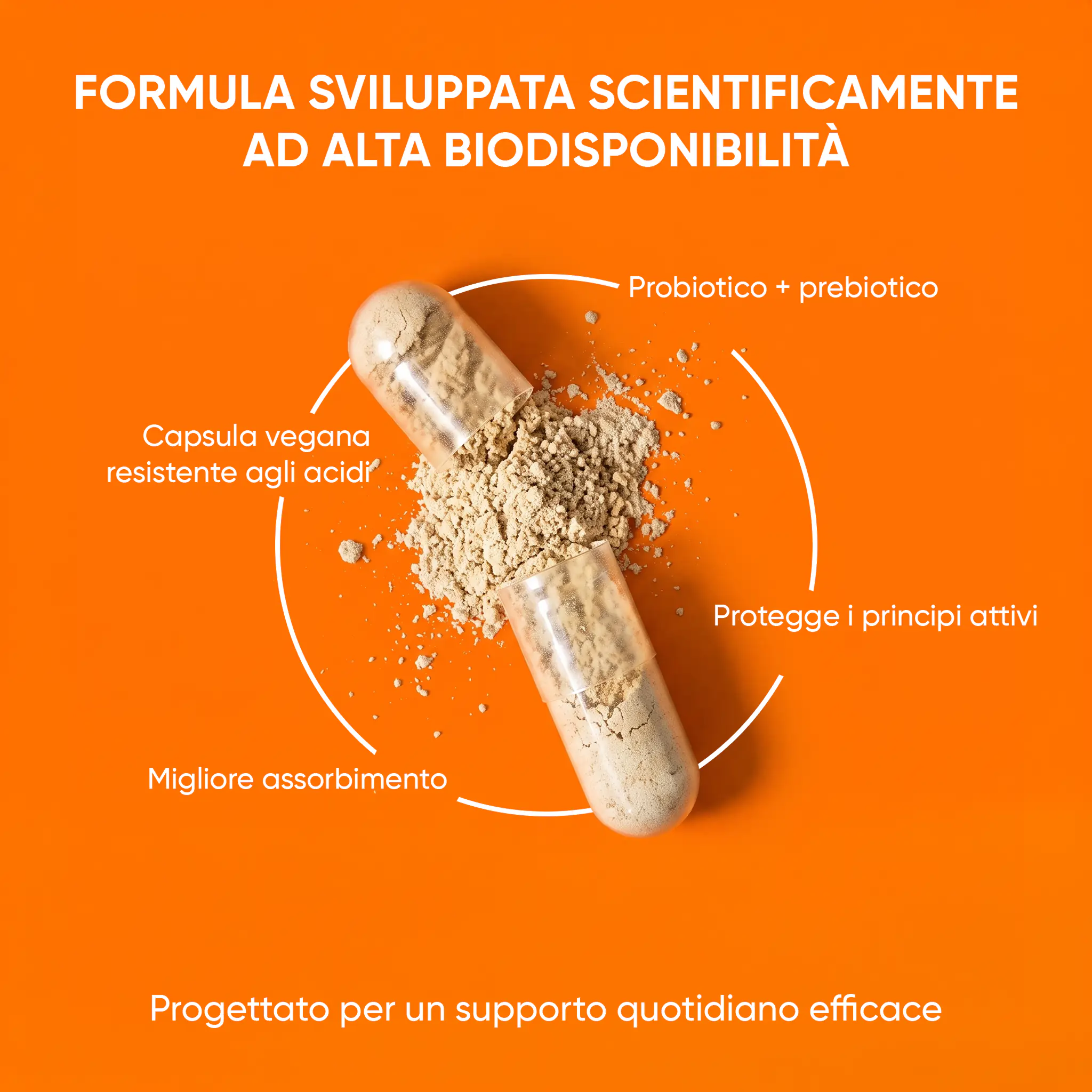 wow-tea-web-slimbiotic-gallery-banner-6-IT Alright Slimbiotic | wow tea web slimbiotic gallery banner 6 IT