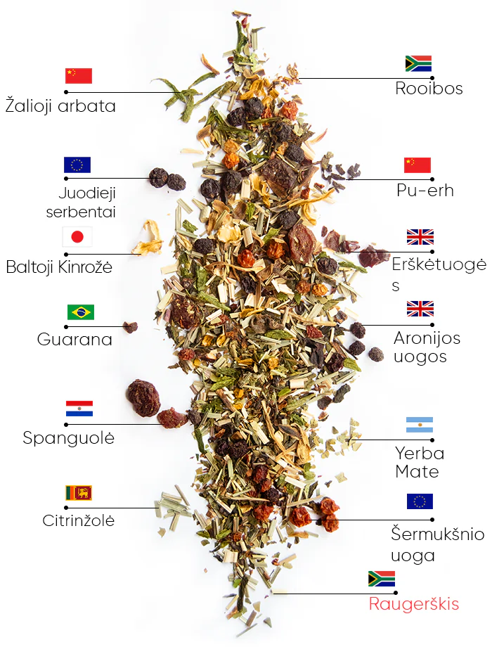 Berry Detox Arbata | wow tea berry detox ingredients D LT