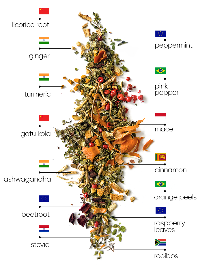 Mint Wellness Arbata | wellness mint ingredients