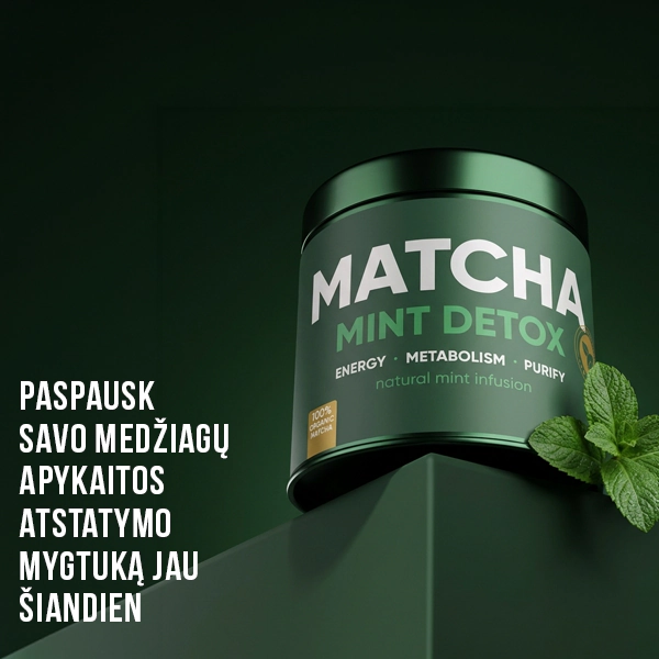 Matcha Mint Detox Arbata | wowtea matcha mint detox gallery 7 LT