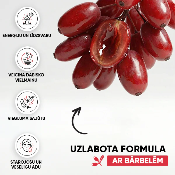 Berry Wellness Tēja | gallery berberis wellness 600x600 LV