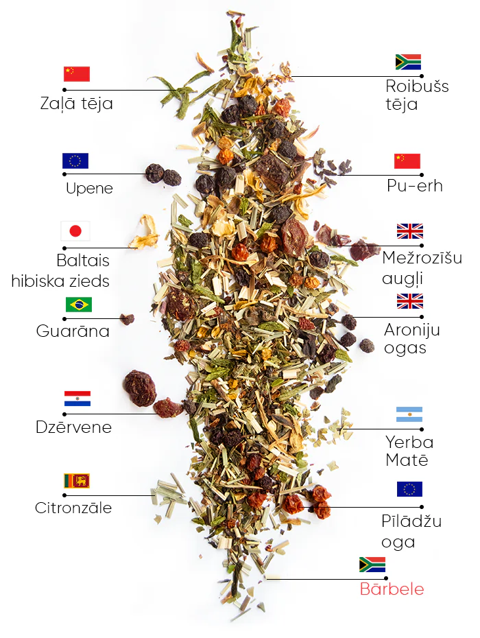 Berry Detox Tēja | wow tea berry detox ingredients D LV