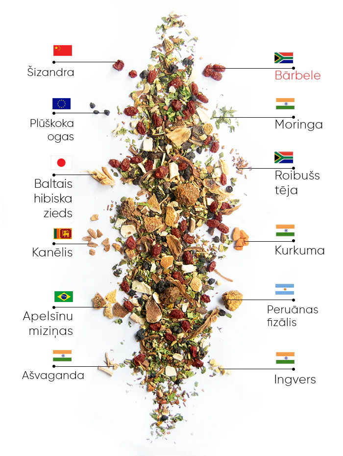 Berry Wellness Tēja | wow tea berry wellness ingredients D LV